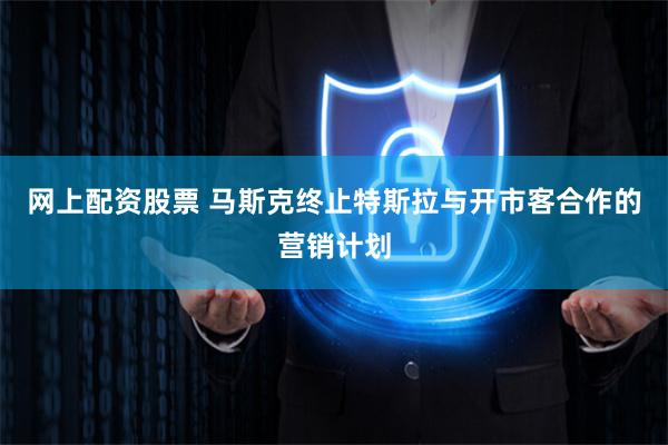 网上配资股票 马斯克终止特斯拉与开市客合作的营销计划