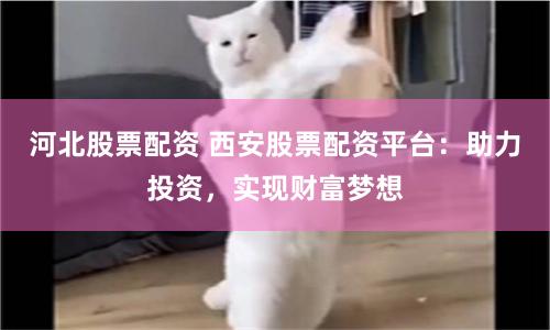 河北股票配资 西安股票配资平台：助力投资，实现财富梦想