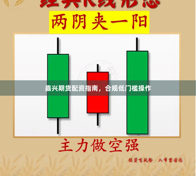 嘉兴期货配资指南，合规低门槛操作