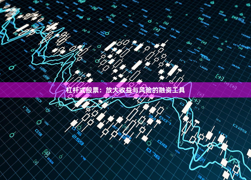杠杆式股票：放大收益与风险的融资工具